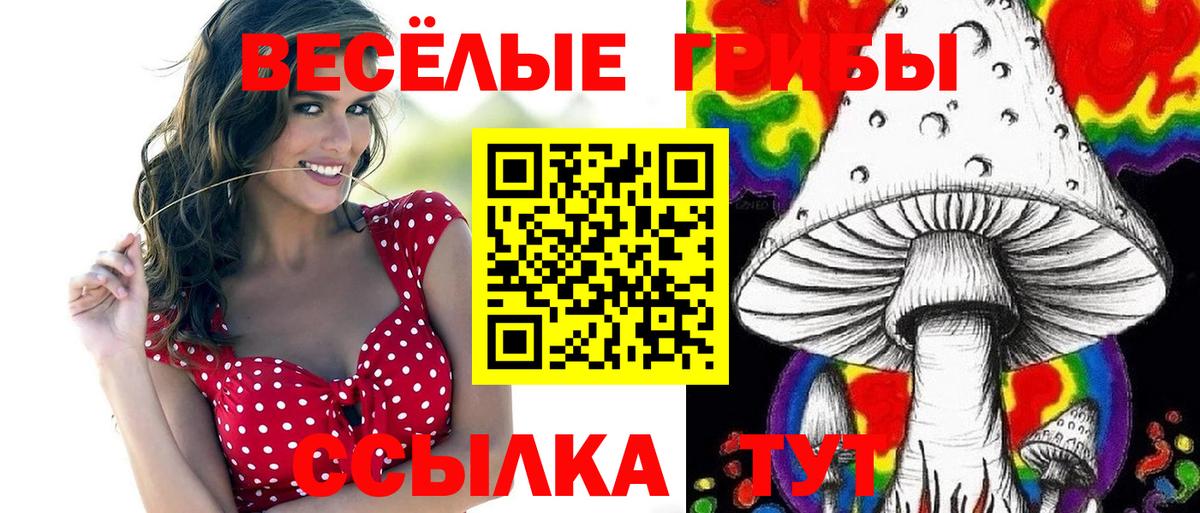 Галлюциногенные грибы мицелий  Вход с VPN  Сухой Лог  Псилоцибиновые грибы Cubensis 